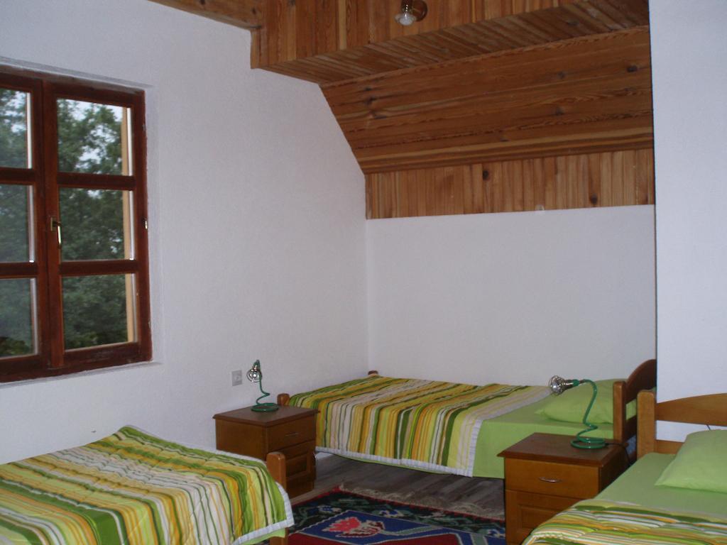 Guest House Tara Canyon Pljevlja Camera foto