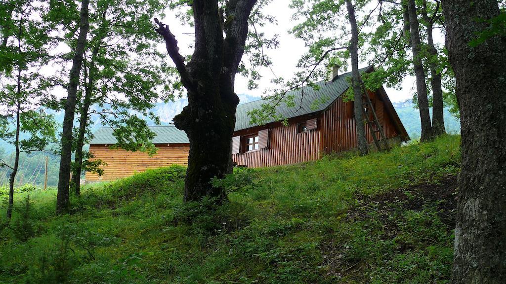 Guest House Tara Canyon Pljevlja Esterno foto