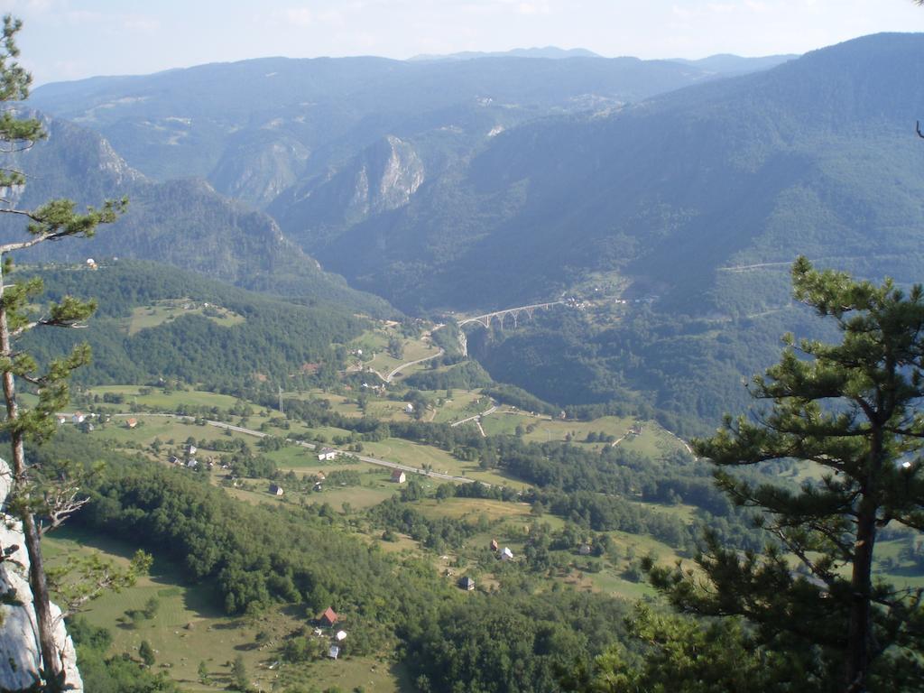Guest House Tara Canyon Pljevlja Esterno foto