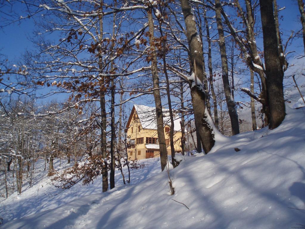 Guest House Tara Canyon Pljevlja Esterno foto