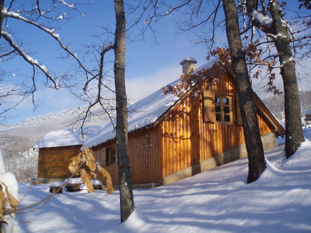 Guest House Tara Canyon Pljevlja Esterno foto